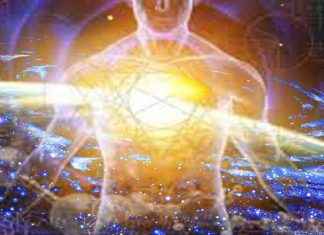 Le Conseil – En réponse à quelques questions – #13